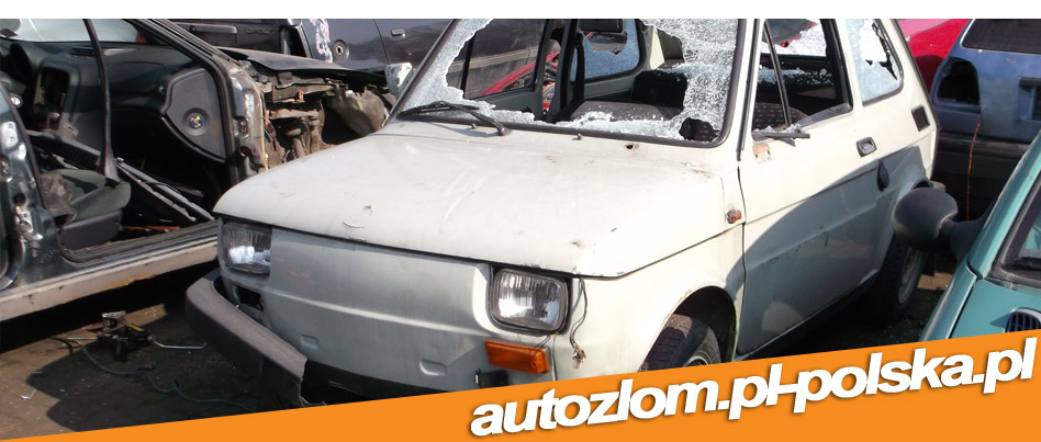 Skup aut Lubniewice,złomowanie Lubniewice, skupaut-zlomowanie.pl