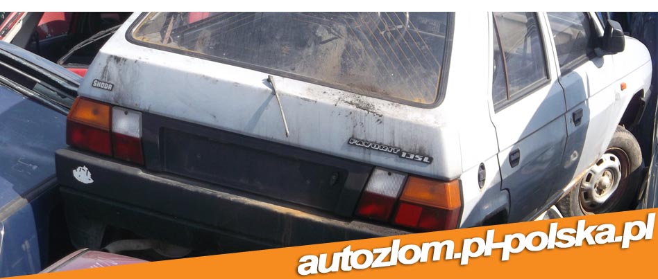 Skup aut Lubniewice,złomowanie Lubniewice, skupaut-zlomowanie.pl